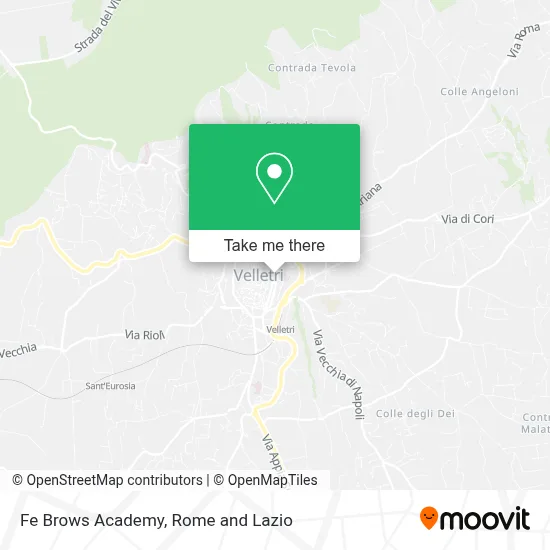 Fe Brows Academy map