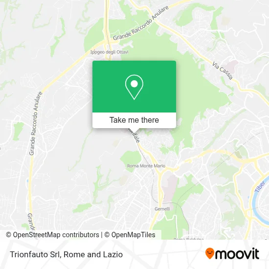 Trionfauto Srl map