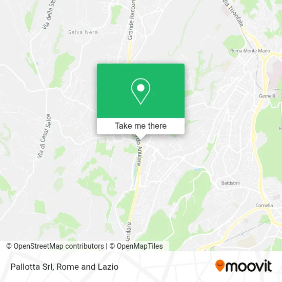 Pallotta Srl map
