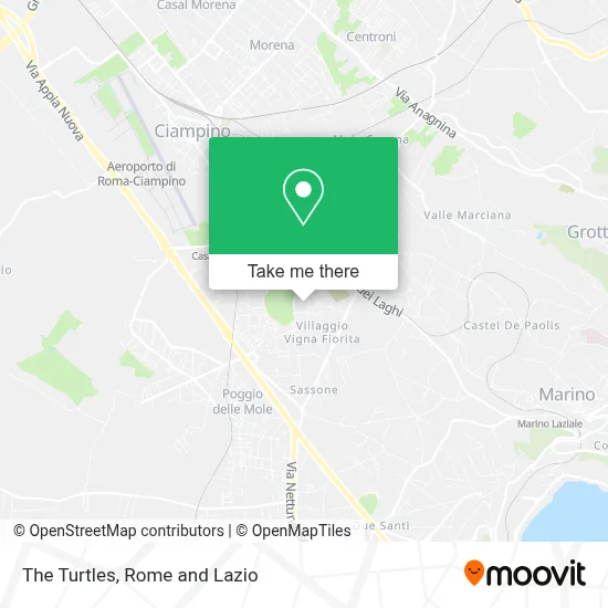 The Turtles map