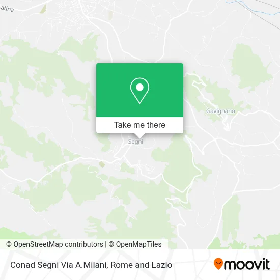 Conad Segni Via A.Milani map