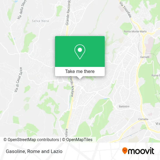 Gasoline map