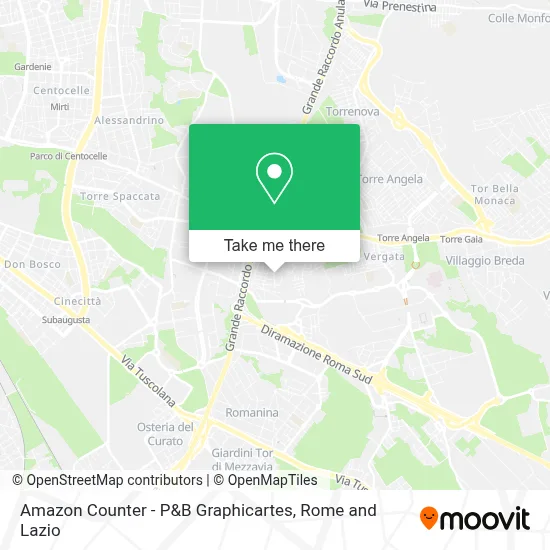 Amazon Counter - P&B Graphicartes map