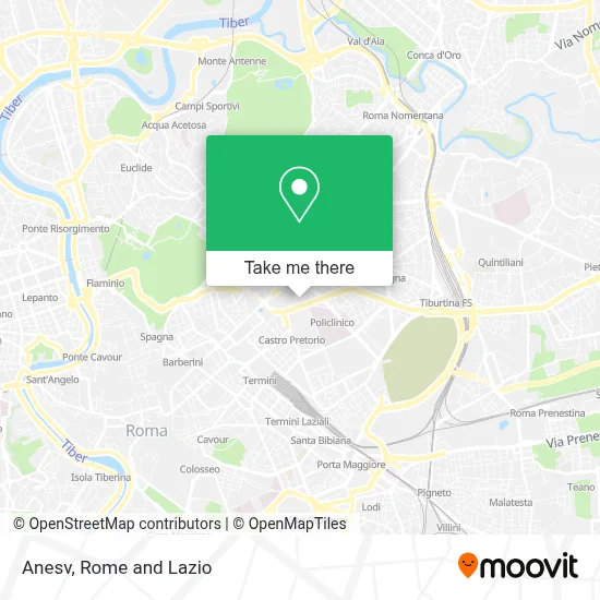 Anesv map