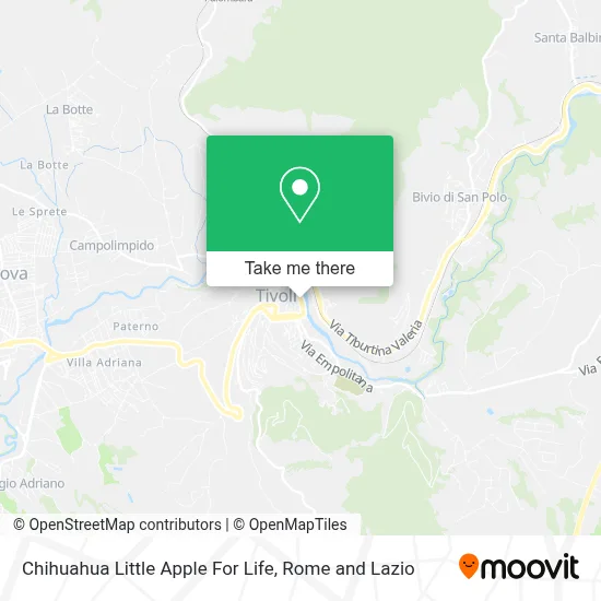Chihuahua Little Apple For Life map