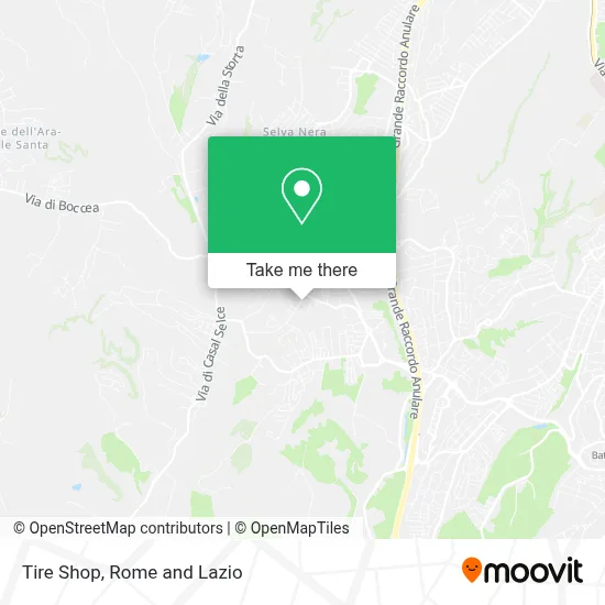 Tire Shop map