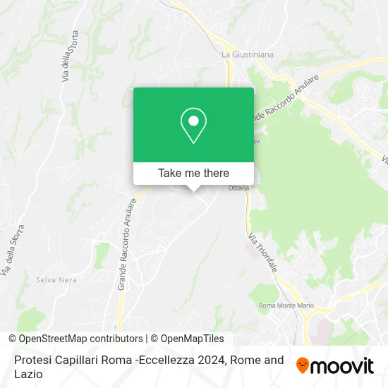 Protesi Capillari Roma -Eccellezza 2024 map