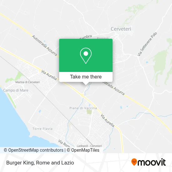 Burger King map