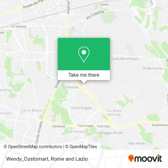 Wendy_Customart map