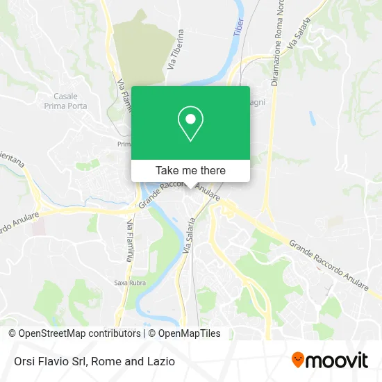 Orsi Flavio Srl map