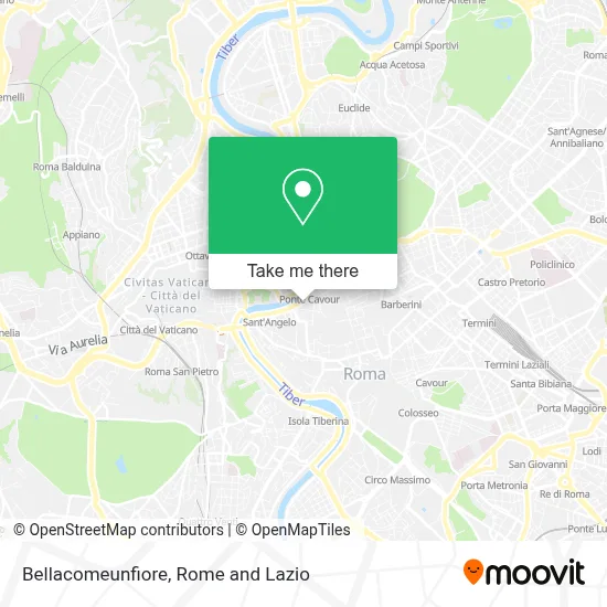 Bellacomeunfiore map