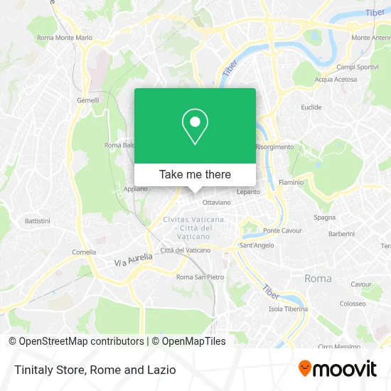 Tinitaly Store map