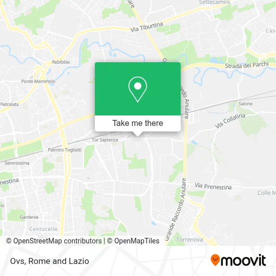 Ovs map
