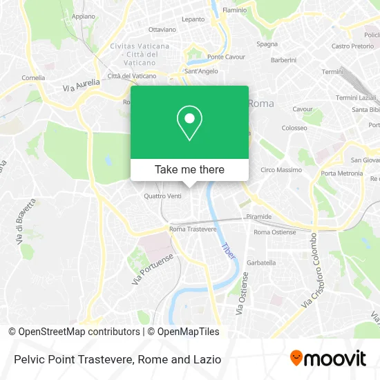 Pelvic Point Trastevere map