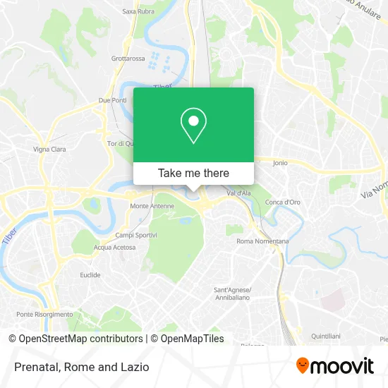 Prenatal map