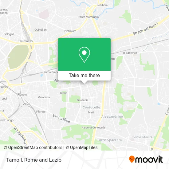 Tamoil map