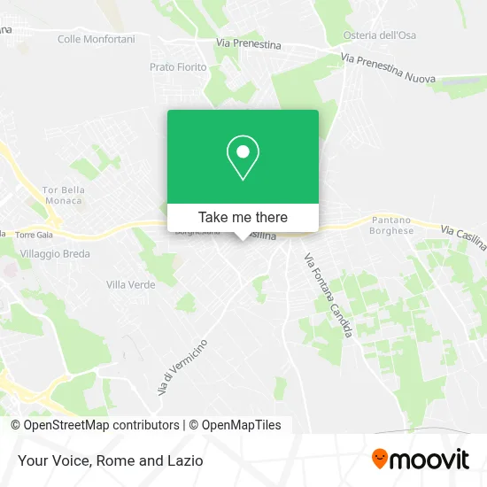 Your Voice map