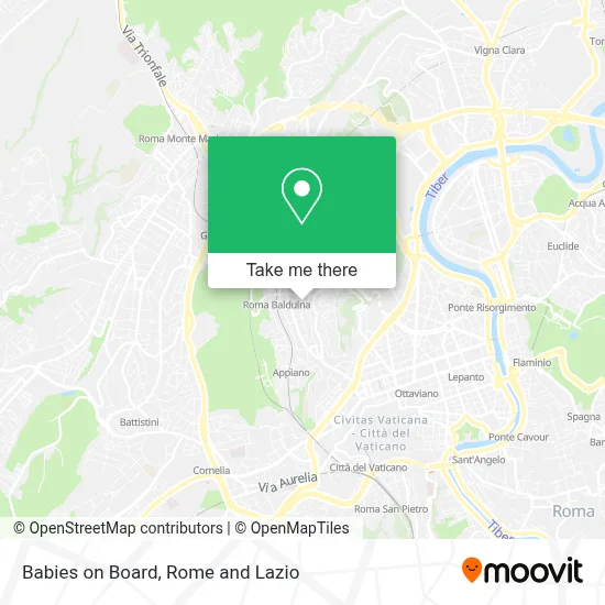 Babies on Board map