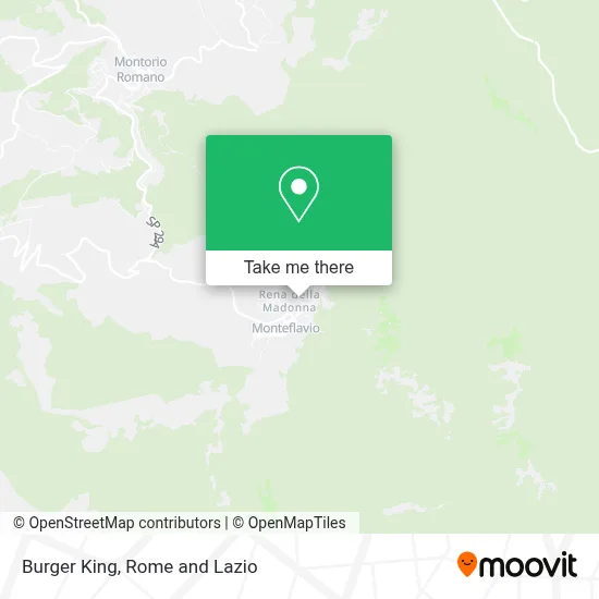 Burger King map