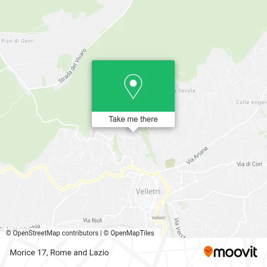 Morice 17 map