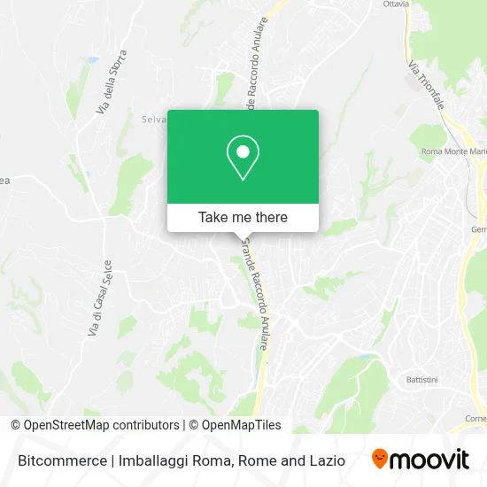 Bitcommerce | Imballaggi Roma map