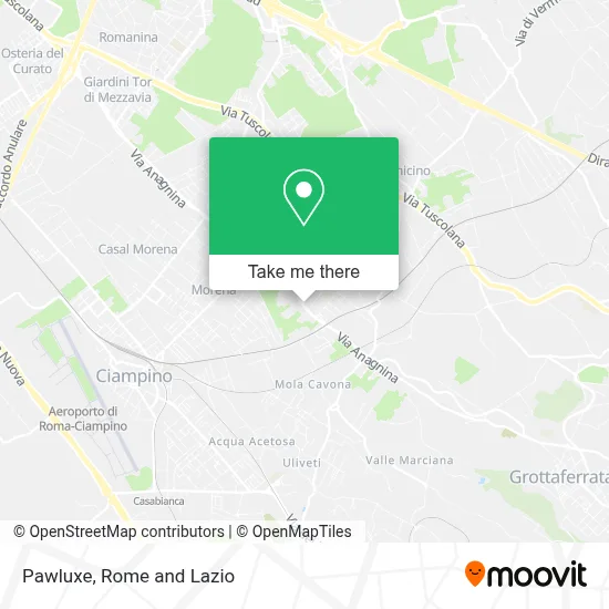 Pawluxe map