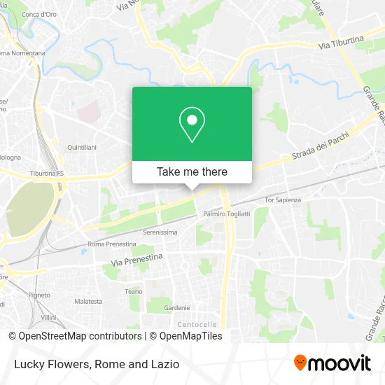 Lucky Flowers map