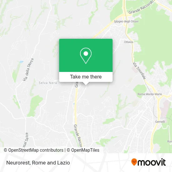 Neurorest map