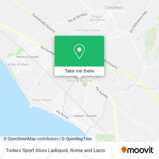 Todaro Sport Store Ladispoli map