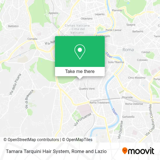 Tamara Tarquini Hair System map