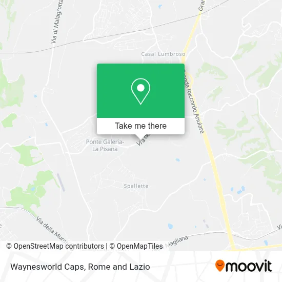Waynesworld Caps map