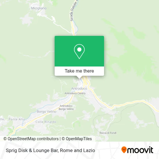 Sprig Disk & Lounge Bar map