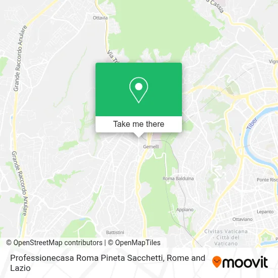 Professionecasa Roma Pineta Sacchetti map