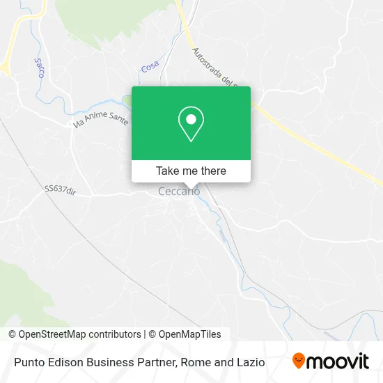 Punto Edison Business Partner map