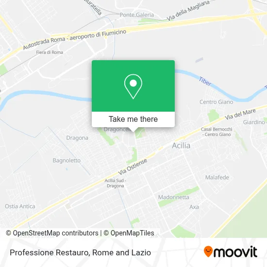 Professione Restauro map