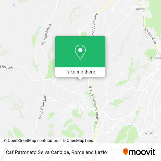 Caf Patronato Selva Candida map