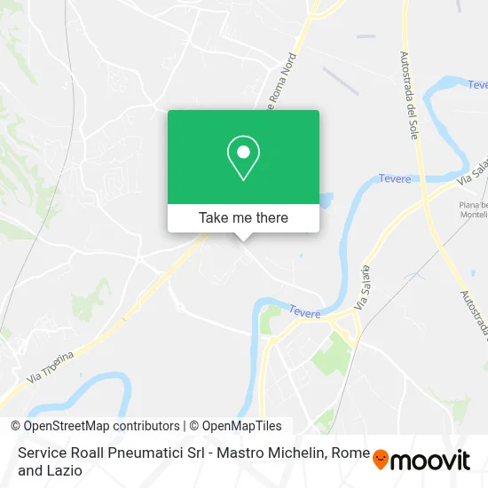 Service Roall Pneumatici Srl - Mastro Michelin map