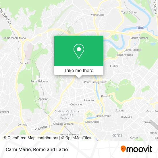 Carni Mario map