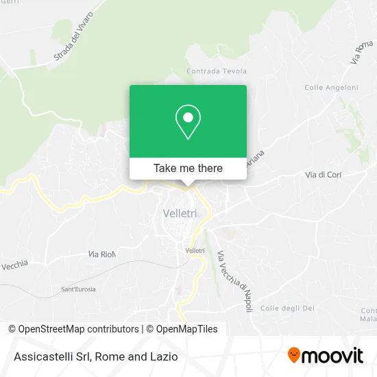 Assicastelli Srl map