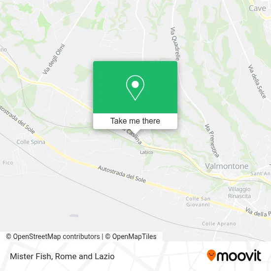 Mister Fish map