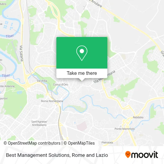 Best Management Solutions map