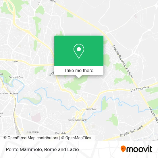 Ponte Mammolo map