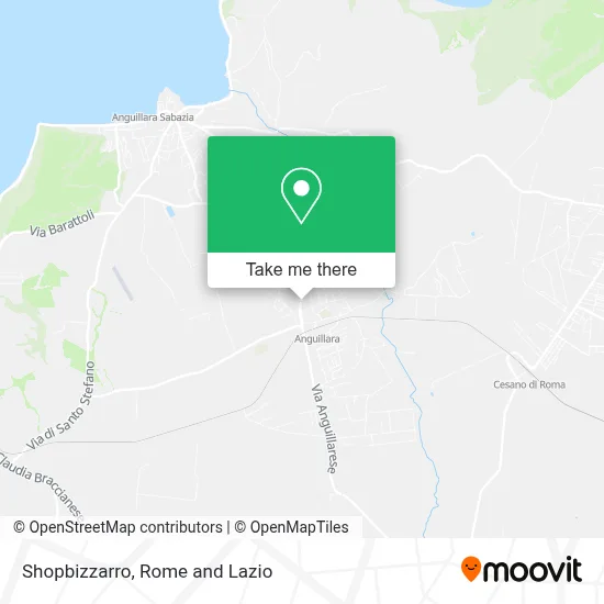Shopbizzarro map