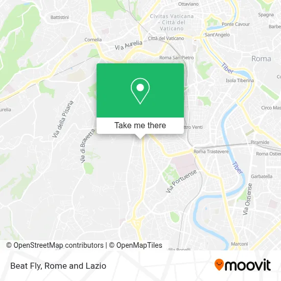 Beat Fly map