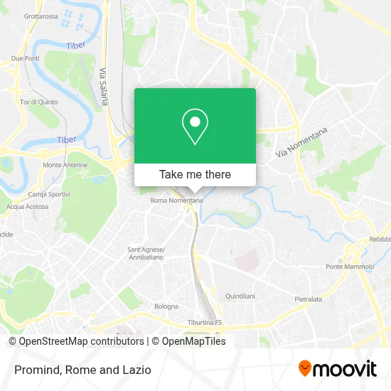 Promind map