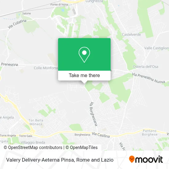 Valery Delivery-Aeterna Pinsa map