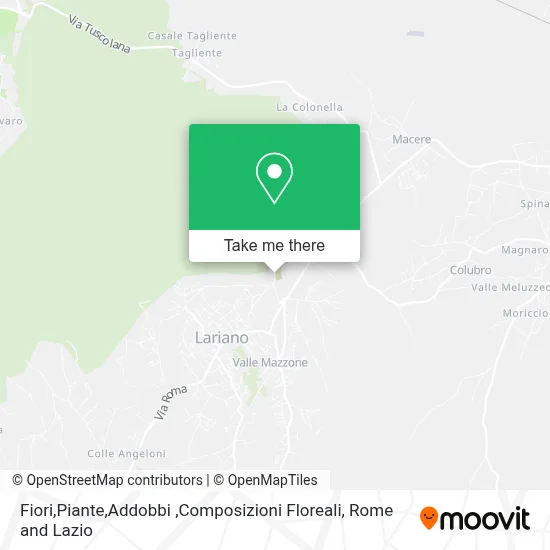Fiori,Piante,Addobbi ,Composizioni Floreali map