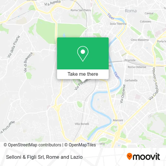 Selloni & Figli Srl map