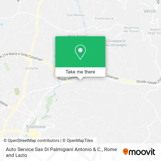 Auto Service Sas Di Palmigiani Antonio & C. map
