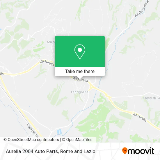 Aurelia 2004 Auto Parts map